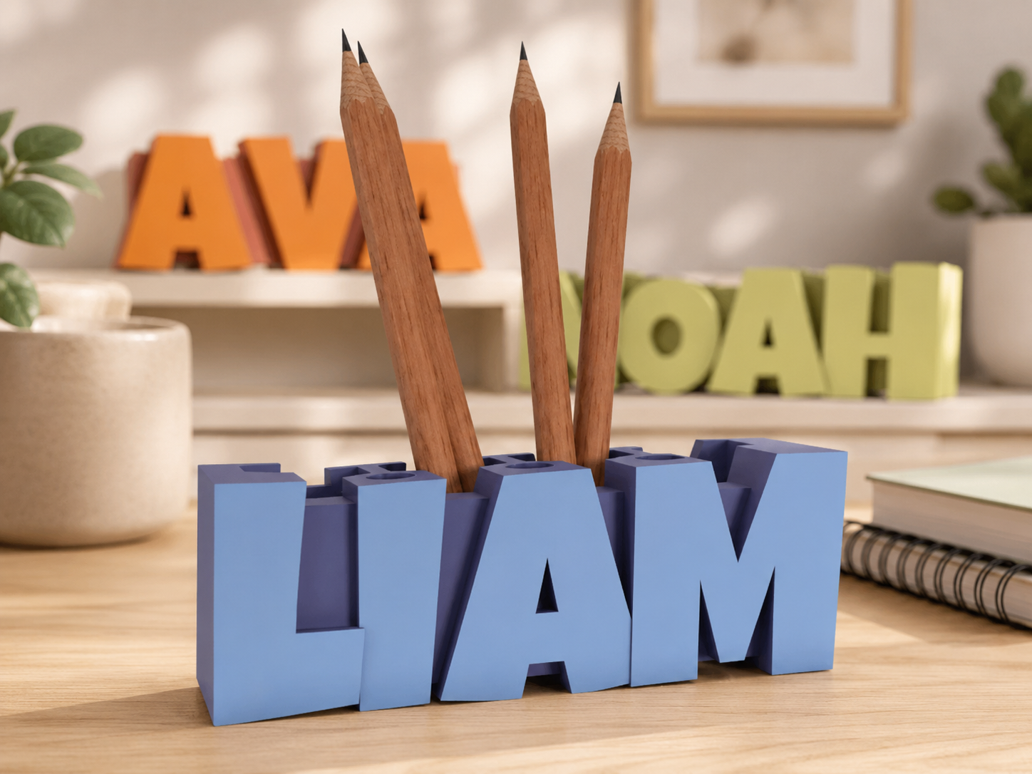 Desk Organizers